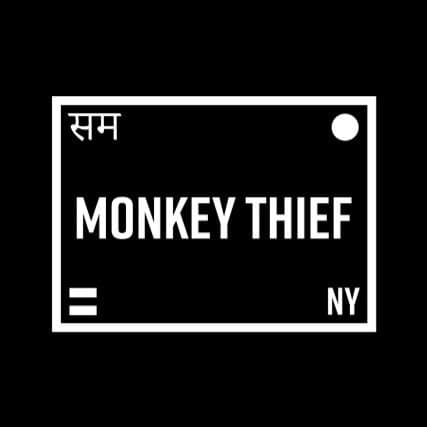 Monkey Thief